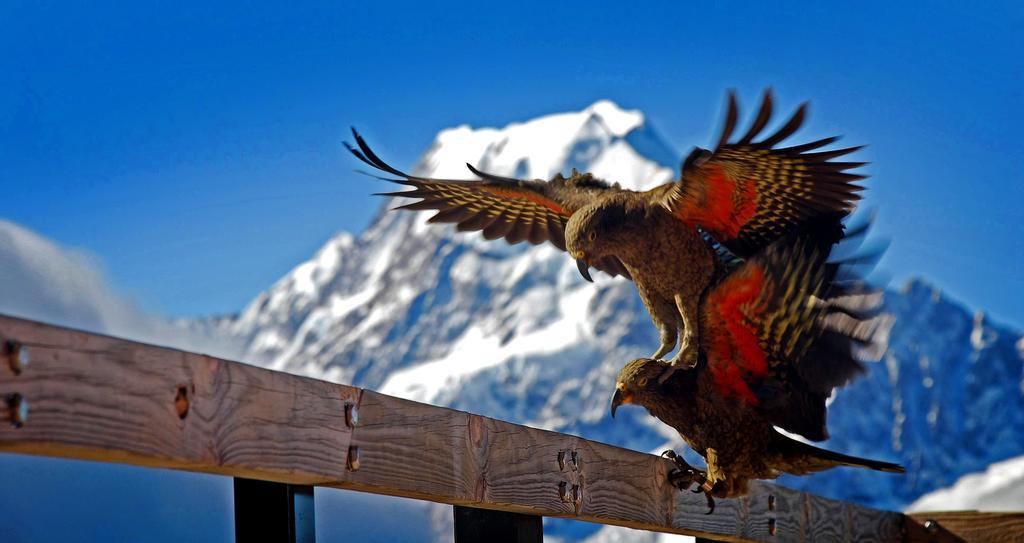 Glentanner Park Centre Hotel Aoraki / Mount Cook Bagian luar foto